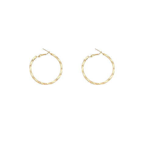 Geometric Irregular Metal Hoop Earrings in Gold and Silver
