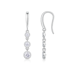 S925 Silver Earrings