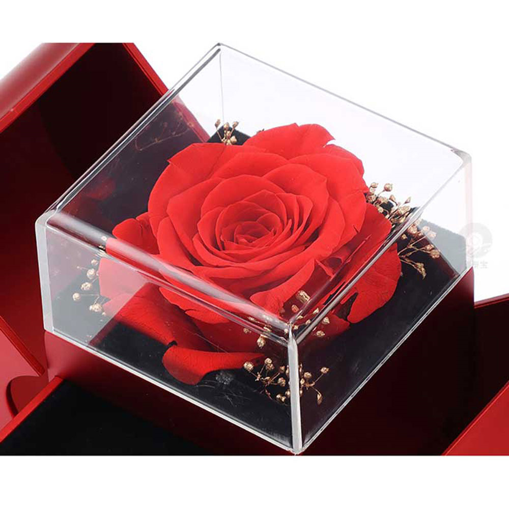 Red Apple Jewelry Box with Eternal Rose and Gold Plated Necklace Gift Set