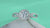 1Luxury Fashion Large Diamond Wedding Ring With Moissanite Silver Ring Prohibit Tk Sales